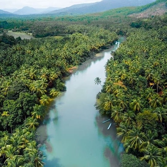 Island exploration boating Sharavathi backwaters