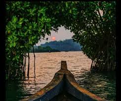 Mangrove trail boating route Sharavathi