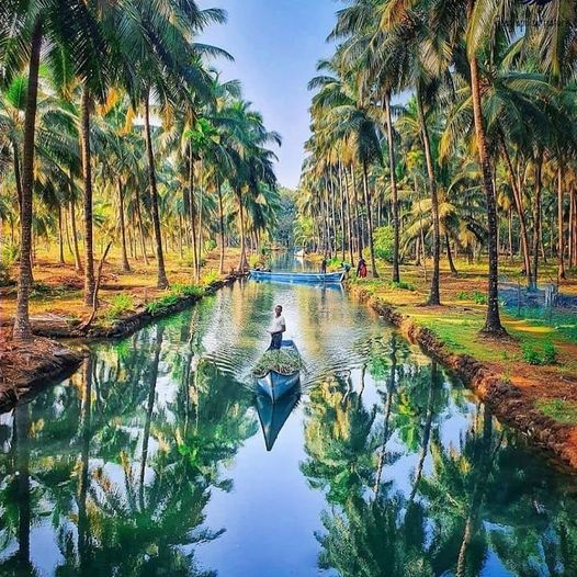 Kayaking on Sharavathi River near Honnavar homestay