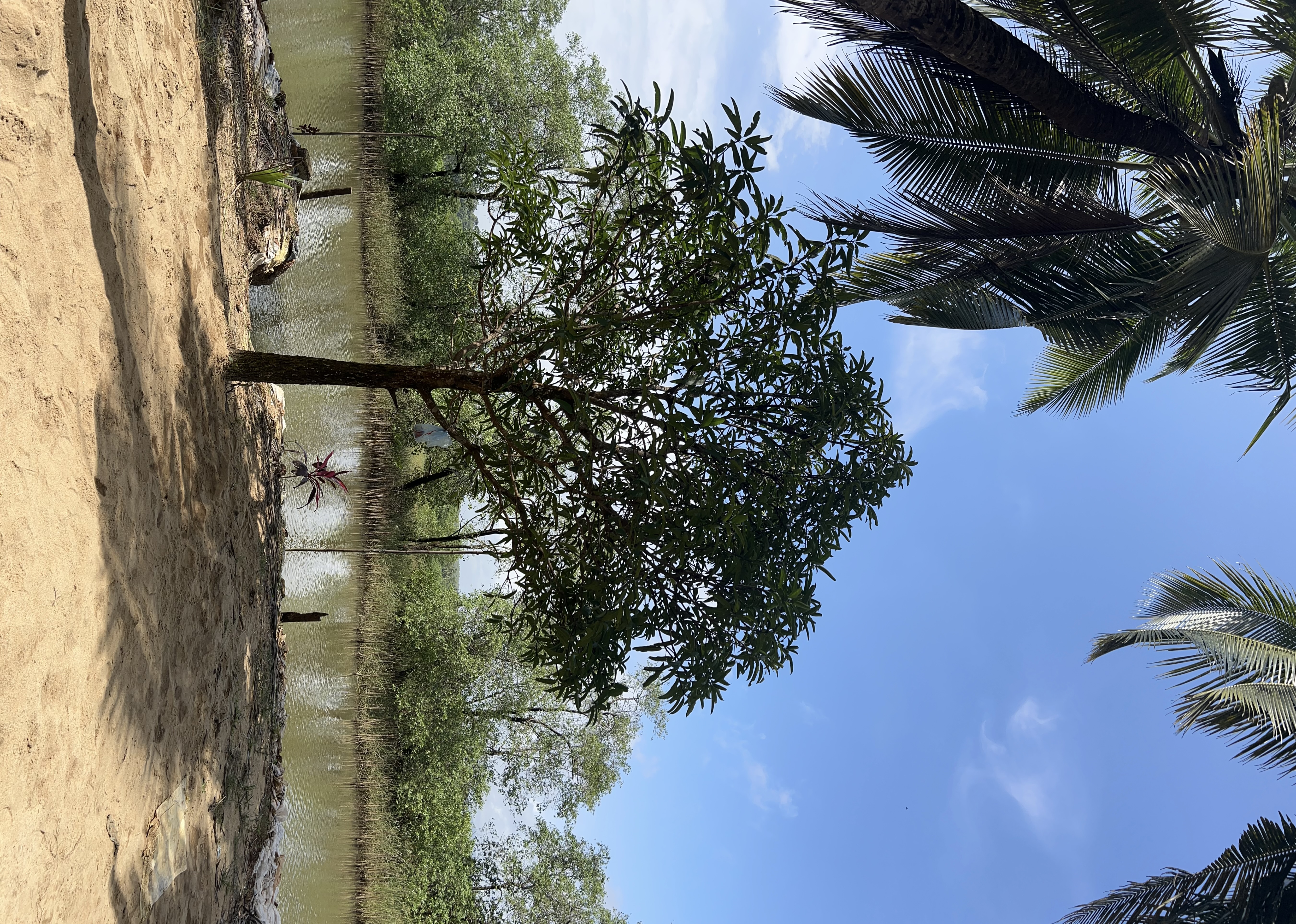 Bird watching experience coconut farm Honnavar